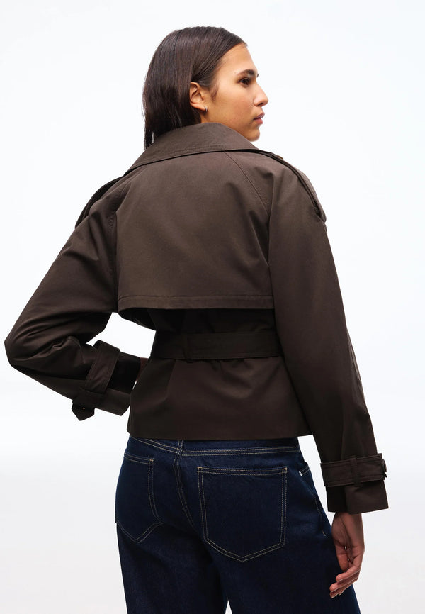 #darkbrown